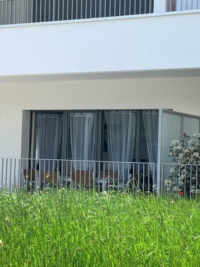 Alps Cocoon Apartment Annecy Bagian luar foto
